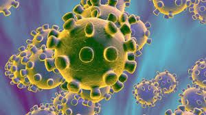 Medidas de contención del Coronavirus en las granjas porcinas ?