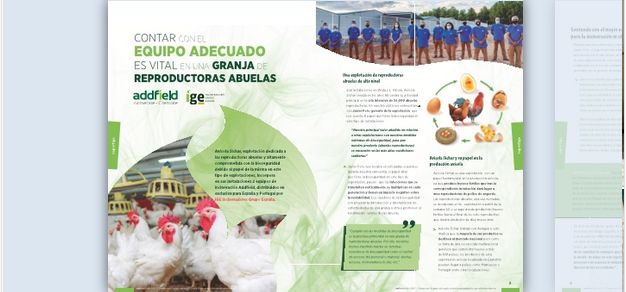 Instalación de mini AB 250Kg en Badajoz